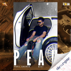 Pavii Ghuman released his/her new Punjabi song Peak