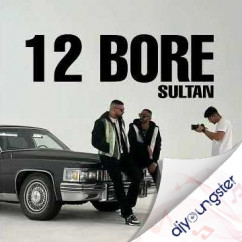 Sultaan released his/her new Punjabi song 12 Bor