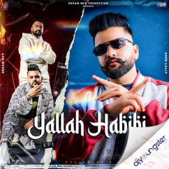 Arsh Lally released his/her new Punjabi song We Run Things