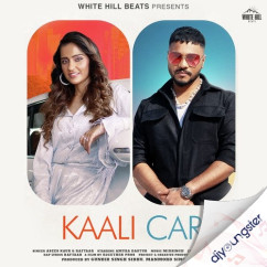 Raftaar released his/her new Punjabi song Kaali Car