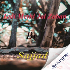 Sajjad released his/her new Punjabi song Tedi Methi Jai Zaban