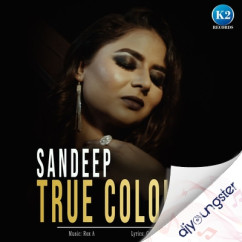 Sandeep released his/her new Punjabi song True Colours