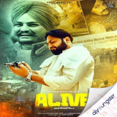 Tayyab Amin Teja released his/her new Punjabi song ALive
