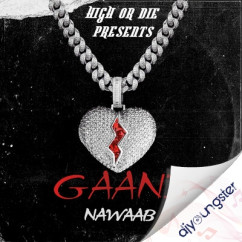Nawaab released his/her new Punjabi song Gaani