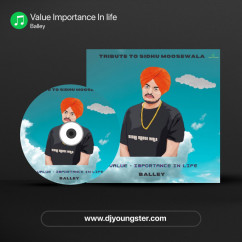 Value Importance In life song Lyrics by Balley
