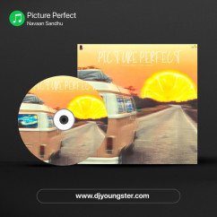 Picture Perfect song download by Navaan Sandhu