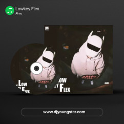 Lowkey Flex song Lyrics by Akay