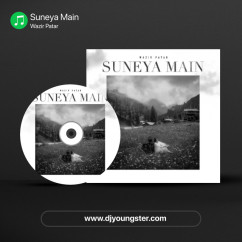Suneya Main song download by Wazir Patar