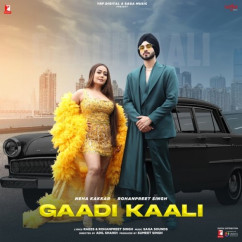 Gaadi Kaali song download by Raees