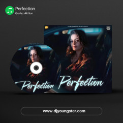 Perfection song Lyrics by Gurlez Akhtar